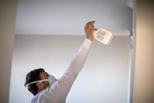 Best Mold Removal Company Near Me  in Globe, AZ